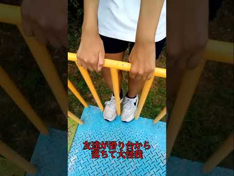 【閲覧注意】友達が滑り台から落ちて大怪我