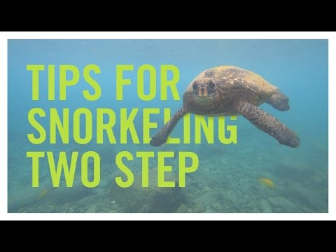 Tips for Snorkeling Two Step on the Big Island of Hawaii