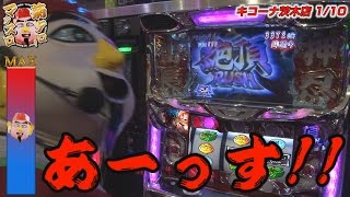 菊タローのマッスロ vol.7  