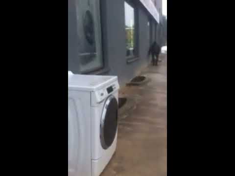 Animal planet in Maskachka