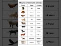 Lifespan Of Domestic Animals