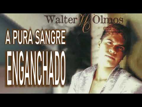 WALTER OLMOS -  A PURA SANGRE - ENGANCHADO
