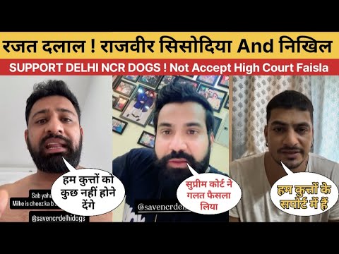 OMG I 🤯 रजत दलाल! राजवीर सिसोदिया And निखिल Support Delhi Dogs! 🐕 Supreme Court Order Dogs In Seltar