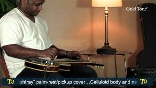 Gold Tone LS-8 Lap Steel