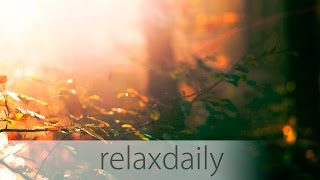 Morning Music - yoga, positive, uplifting, nature - N°015 (4K)