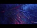 Minuit Machine - Honey (official visuals) 