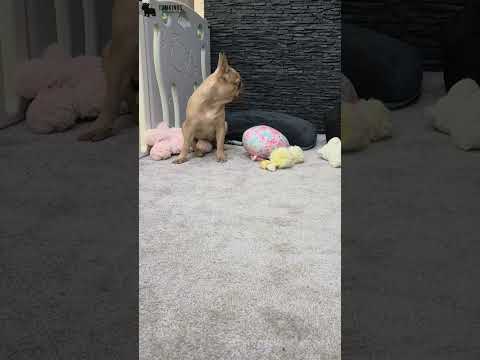 Video 2
