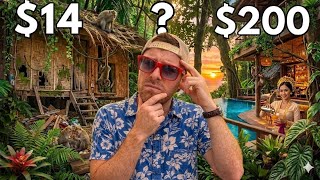 $14 vs $200 Hotel in Ubud Bali (Monkey Forest!) 2026 Guide