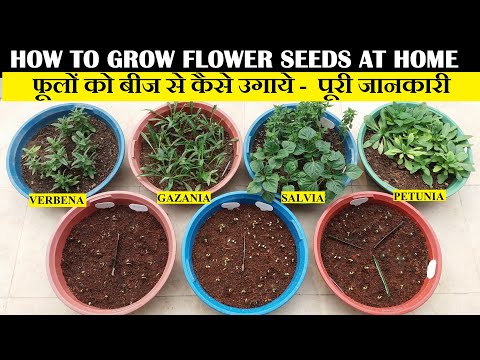 , title : 'फुलों के बीज कैसे ग्रो करें | How To Grow Flower Seeds At Home (FULL UPDATES)'