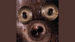 The Dolphins Have All Gone