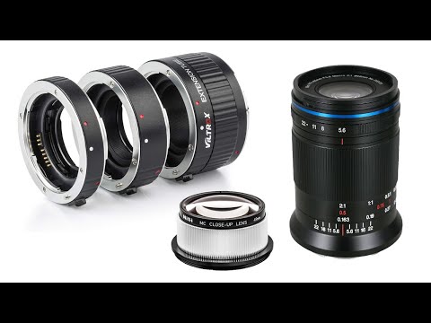Extension Tubes vs. Raynox vs. Macro Lens – Which is best for Macro Photography Beginners?