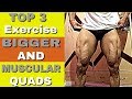 Top Exercise For Bigger And Muscular Quads| Rubal Dhankar |