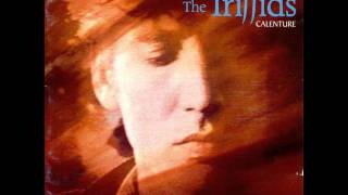 The Triffids - Baby Can I Walk You Home