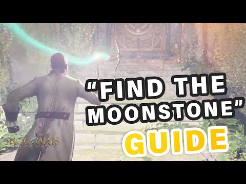 Guide for "Find the Moonstone" Butterfly Puzzle | The Centaur and the Stone ► Hogwarts Legacy