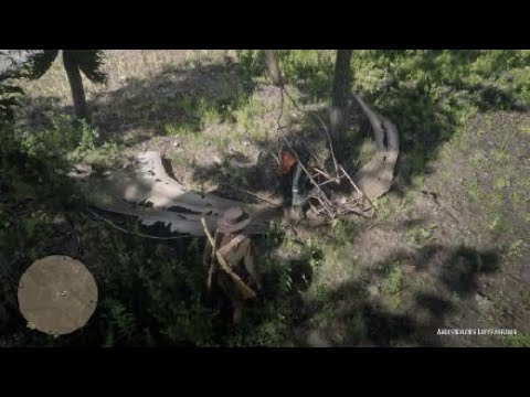 Red Dead Redemption 2 Abgestürztes Luftfahrzeug