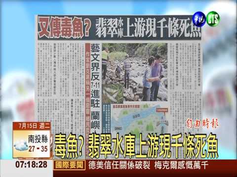 毒魚? 翡翠水庫上游現千條死魚