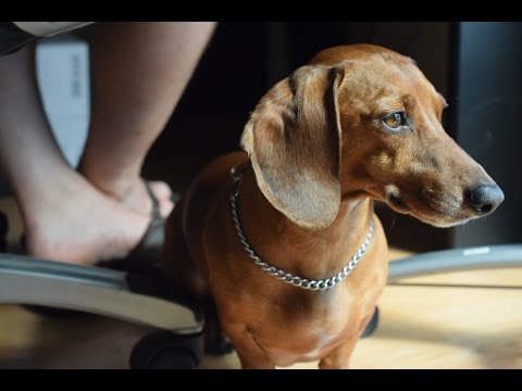 Blackmagic Micro Studio 4k Camera Test Footage