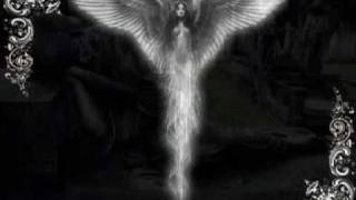 For My Fallen Angel(My Dying Bride)