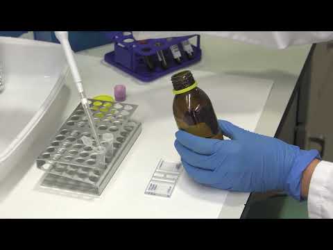 Use of the Neubauer chamber in the laboratory for counting blood cells.