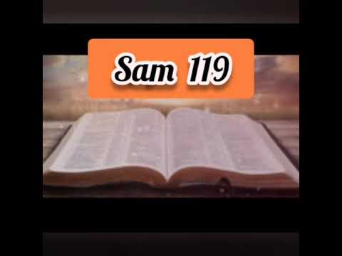 Mizo Bible Reading (Female Voice) || Sam 119