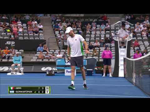Andreas Seppi  v Diego Schwartzman match highlights (SF)