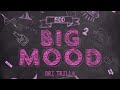 Bri Trilla - BIG MOOD ( Prod . 3Dawgbeats)