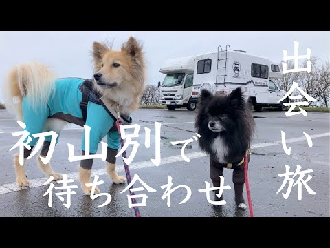 "A 3-day, 2-night trip around Hokkaido in a camper van, a solo female encounter trip" Enjoying re...