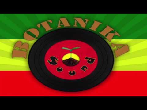 Jah Mason - Ganja for Life - Botanika Sound DUBPLATE