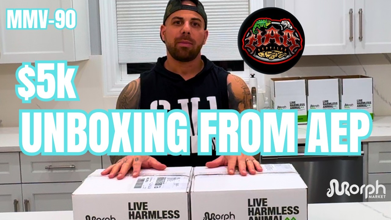 $5K! Unboxing Video From Always Evolving Pythons