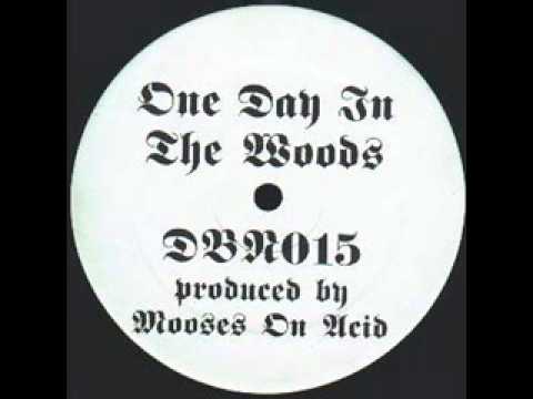 Mooses On Acid - Red Point