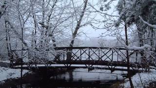 OST Winter Sonata - Tears in Your Eyes - Park Jung Won (박정원)