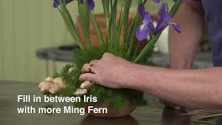 J Schwanke Tips: Ginger & Iris