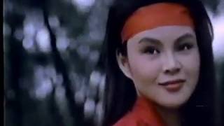 The Challenge of the Lady Ninja (1983) Video