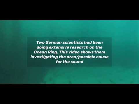 Two Scientists brave a dive into the BERMUDA TRIANGLE.