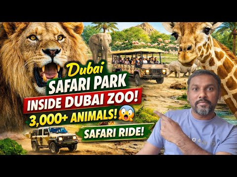 Dubai Safari Park video thumbnail