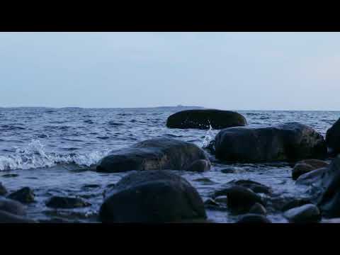 Old Sea Brigade - If You Had To Ask (Official Visualizer)