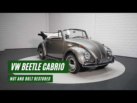 1967 Volkswagen Beetle (CC-1596203) for sale in Waalwijk, Noord-Brabant