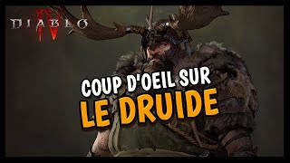 COUP D'OEIL SUR LE DRUIDE DE DIABLO 4 !
