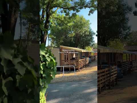 Camping Parc Bellevue - Camping Alpes-Maritimes - Image N°58