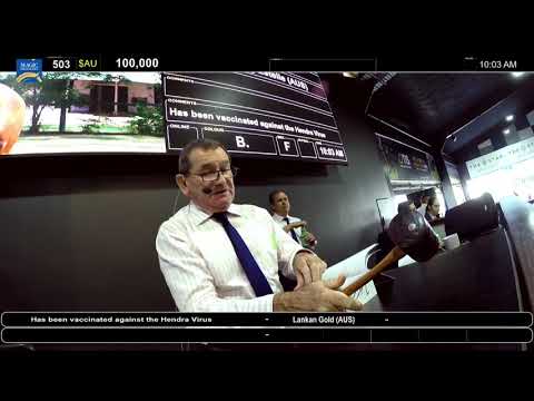 2021 Gold Coast National Broodmare Sale Day 1 - Part 1