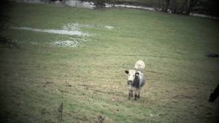 GLENN TILBROOK REACHES OUT TO A NEW AUDIENCE
