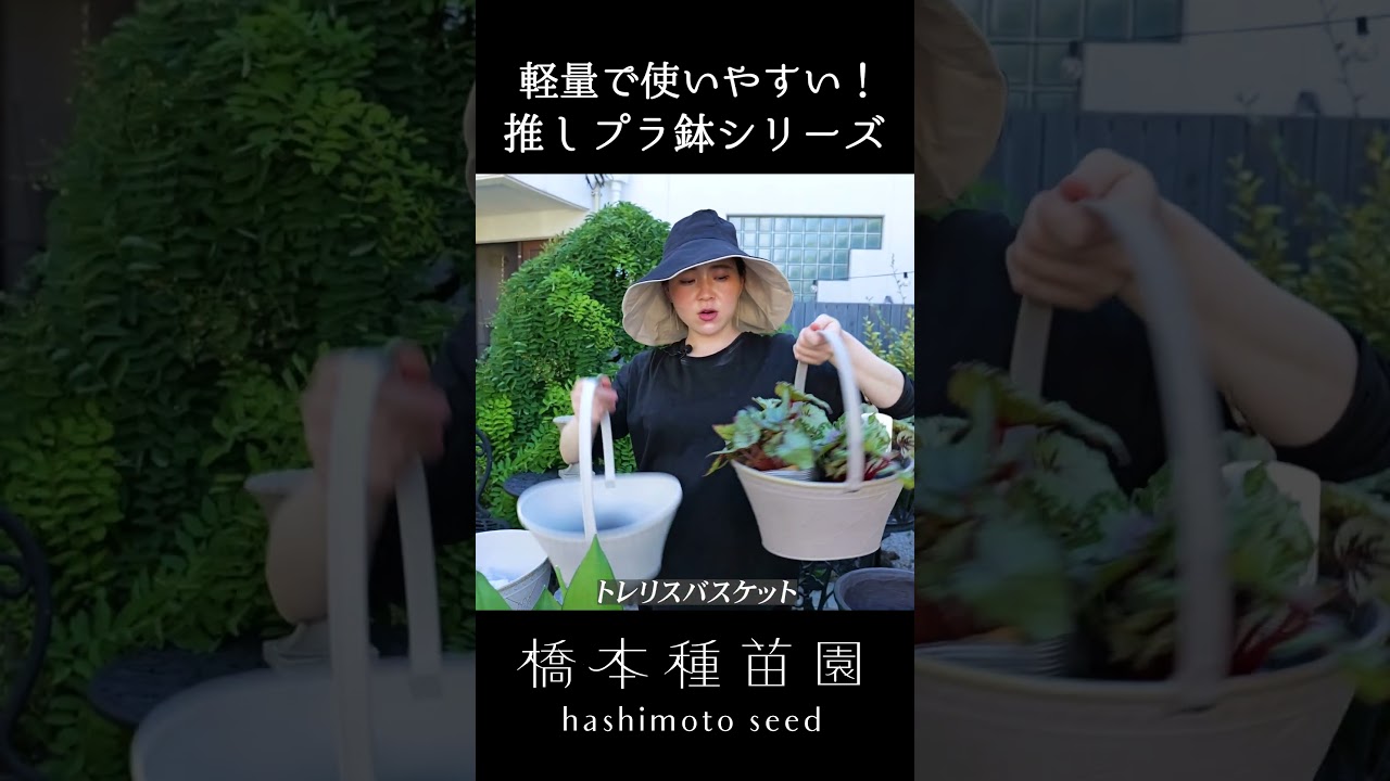 【軽量で使いやすい！】推し"プラ鉢シリーズ”をご紹介♪ #shorts