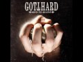 Gotthard - Need to Believe 2009 - 7 - Don't Let me ...