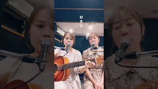 【弾き語り】好きよ好きよ好きよ/藤原さくら