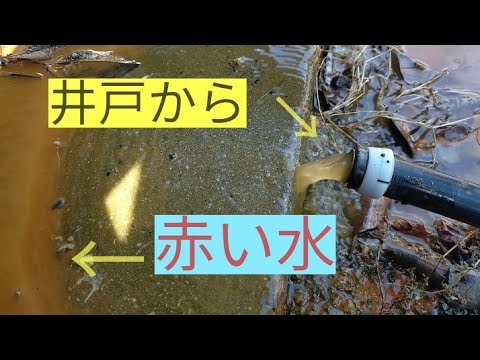 家や庭の水質を確保するために、掘り抜き井戸、古い井戸、または地上井戸を掃除するにはどうすればよいですか?  庭園