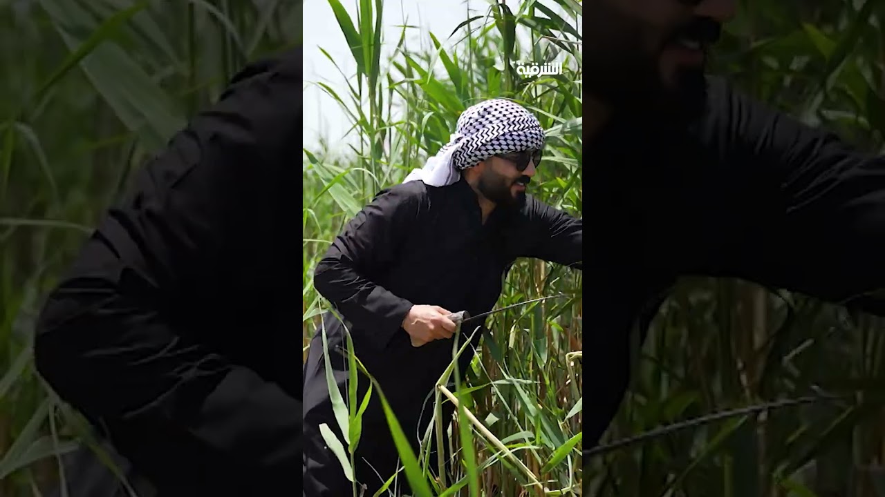 فيديو | أحمد صالح يتحدى على الخالدي في قص الشهف