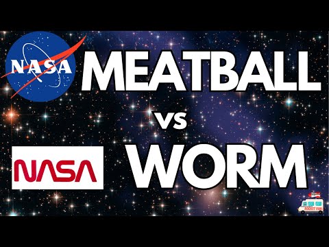 Team Meatball vs Team Worm, Which NASA logo is more iconic? #nasa #rocket #history #logo