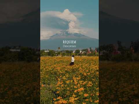 In Paradisum - MAURA NAVA #diademuertos #mexico #cantogregoriano #angelical #musicaespiritual