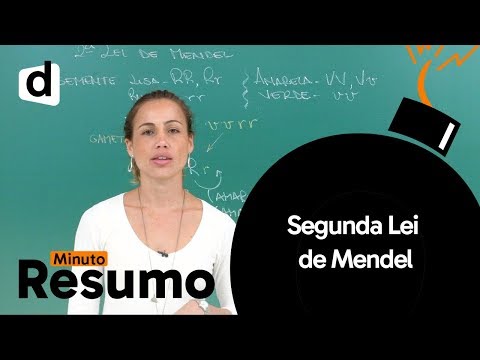 MENDEL'S SECOND LAW | MINUTE SUMMARY | UNCOMPLICATED