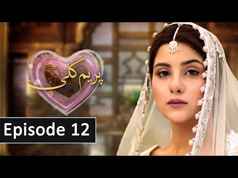 Prem Gali Episode 12 Promo - Prem Gali Episode 11 Review | ARY Digital Drama